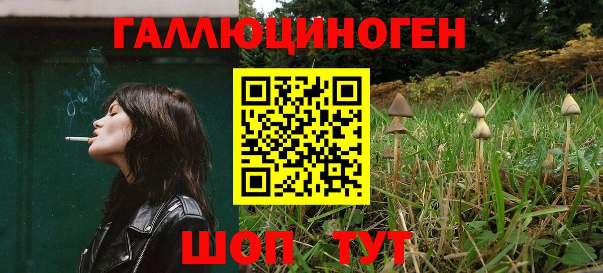 Керчь  Псилоцибиновые грибы GOLDEN TEACHER  Вход с VPN 